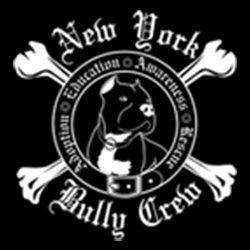 new york bully logo