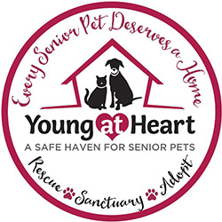 young at heart logo