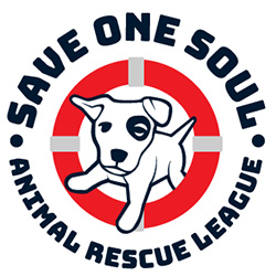 save one soul logo